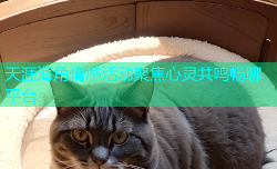天涯海角情感活动聚焦心灵共鸣畅聊平台