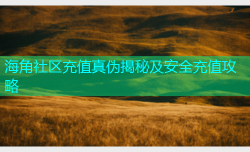 海角社区充值真伪揭秘及安全充值攻略