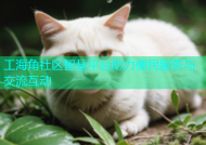 工海角社区智慧平台助力便民服务与交流互动