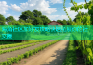 海角社区加好友攻略快速拓展你的社交圈