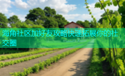 海角社区加好友攻略快速拓展你的社交圈