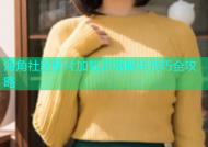 海角社区图片加载异常解决技巧全攻略