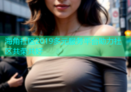 海角社区2019多元服务平台助力社区共荣共好