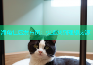 海角社区发布页：快速找到理想房源