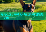 海角社区小哥助力邻里互助打造温暖生活圈