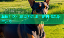 海角社区小哥助力邻里互助打造温暖生活圈