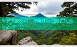 探索深夜秘密：海角社区的匿名社交与活动平台