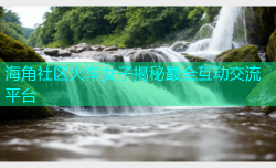 海角社区火车女子揭秘最全互动交流平台