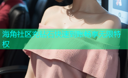 海角社区充钻石快速到账畅享无限特权
