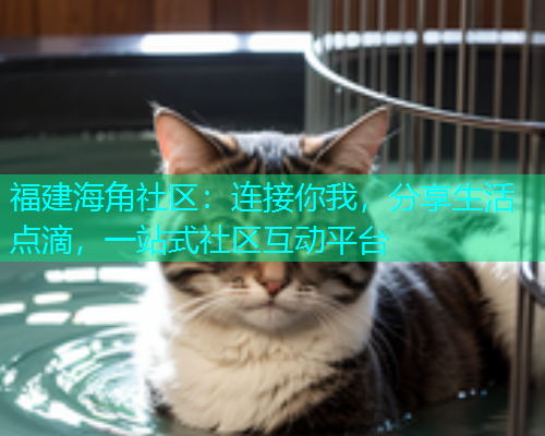 福建海角社区：连接你我，分享生活点滴，一站式社区互动平台  第1张