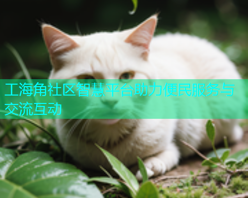 工海角社区智慧平台助力便民服务与交流互动  第1张