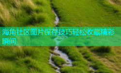 海角社区图片保存技巧轻松收藏精彩瞬间