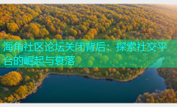海角社区论坛关闭背后：探索社交平台的崛起与衰落