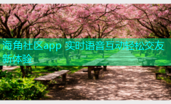 海角社区app 实时语音互动轻松交友新体验